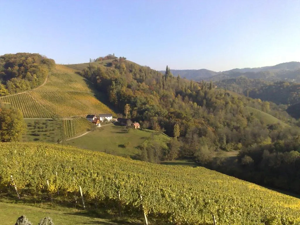 Weingut Essgut Schlafgut Sabathihof-Dillinger