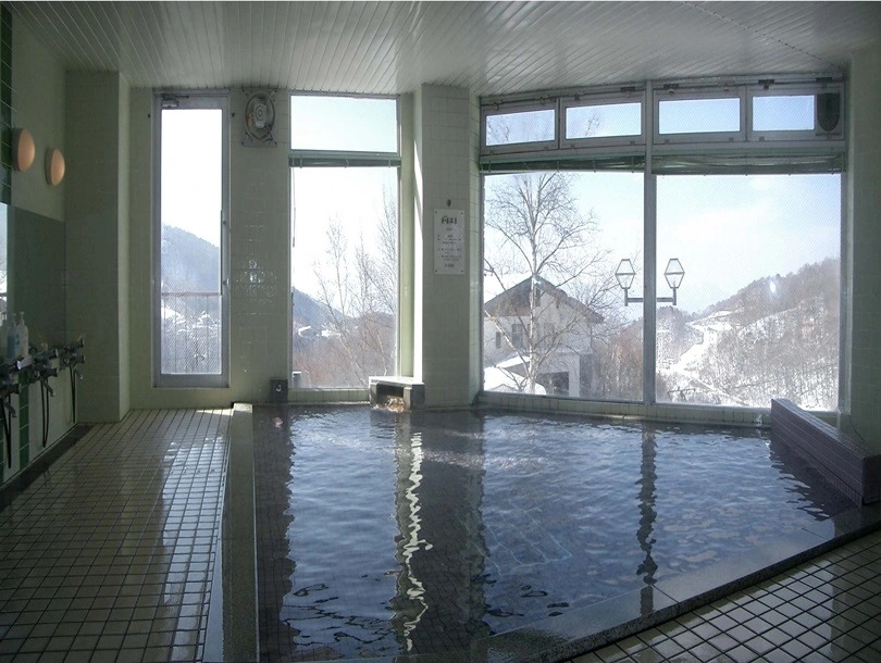 Hotel Iwasuge