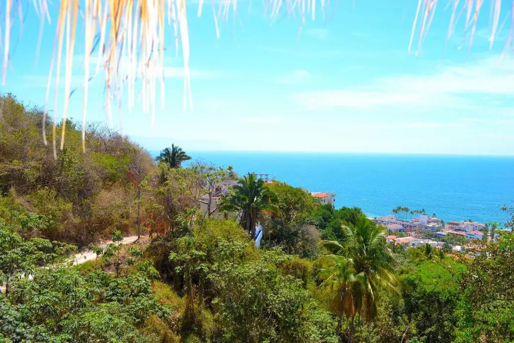 Condo Selva Alta
