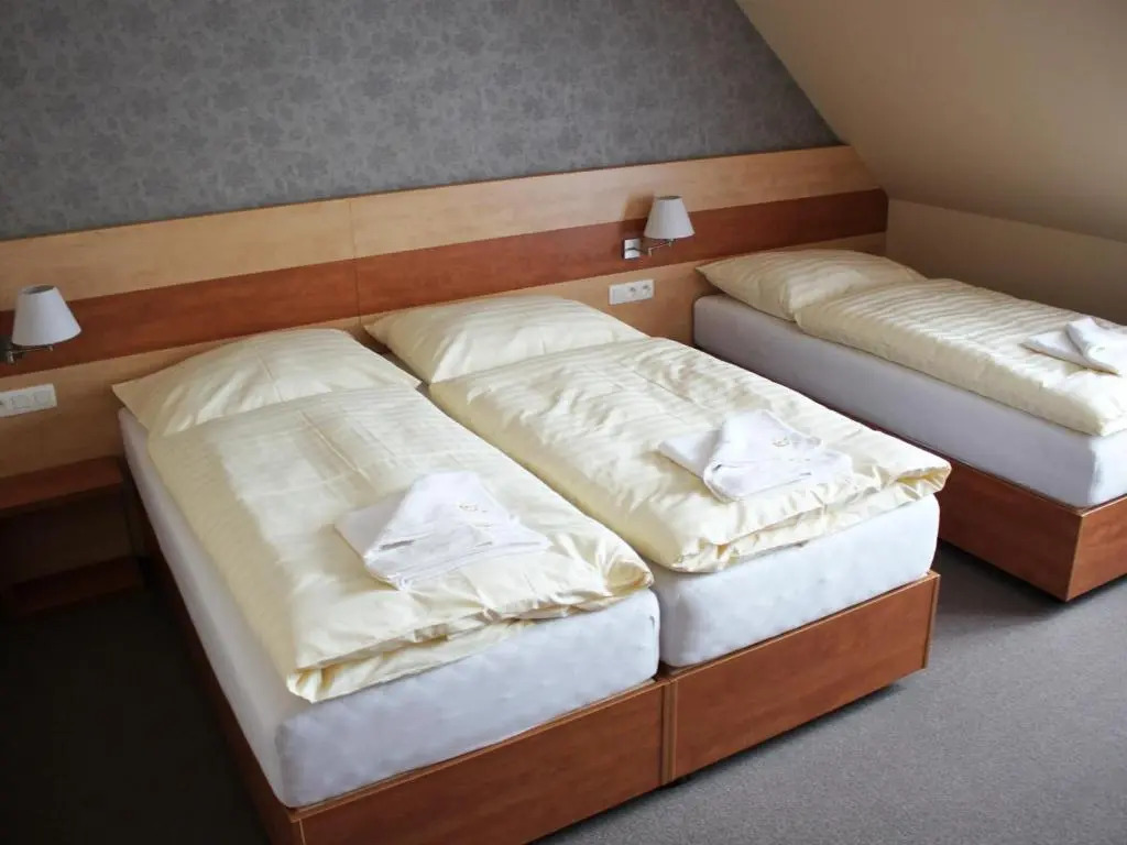 Hotel Toč