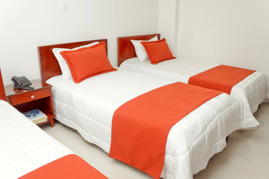 Hotel Andino