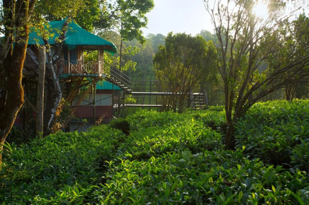 Dream Catcher Plantation Resort