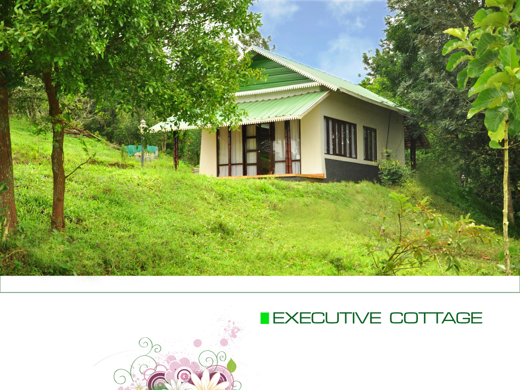 Punarjani Ayurvedic Resorts