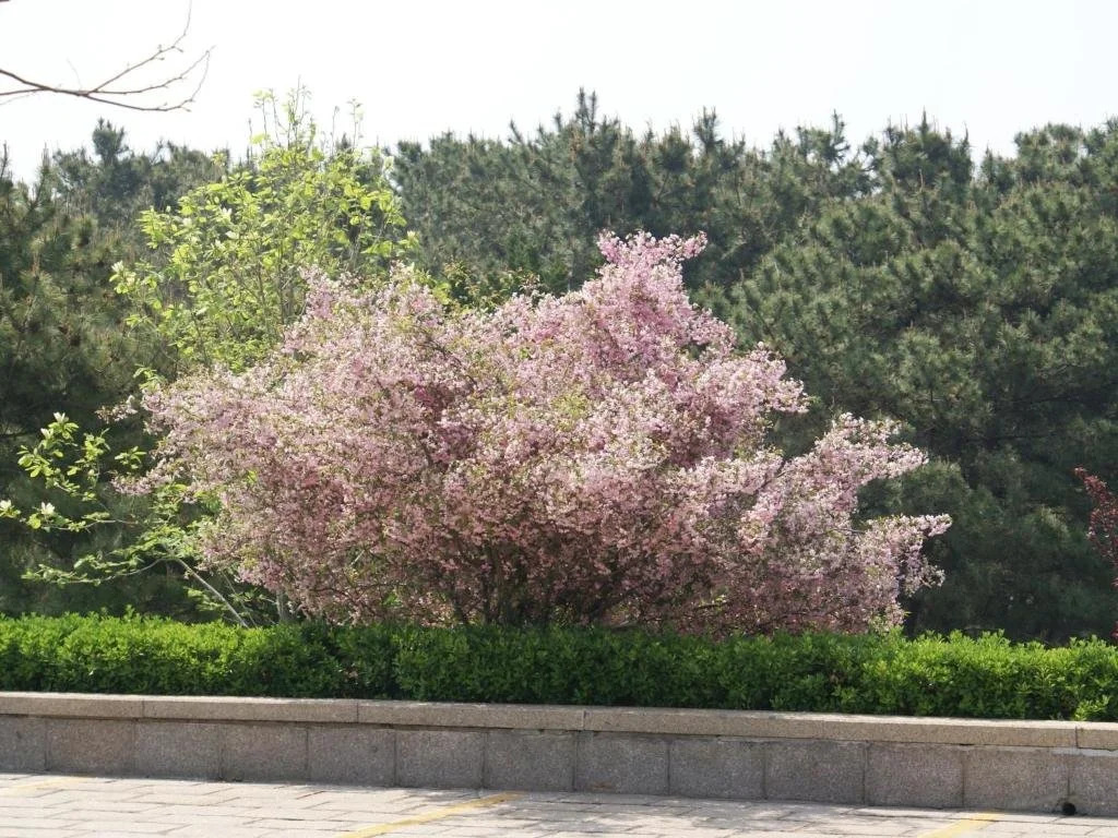 Huaxing Hotel - Rongcheng