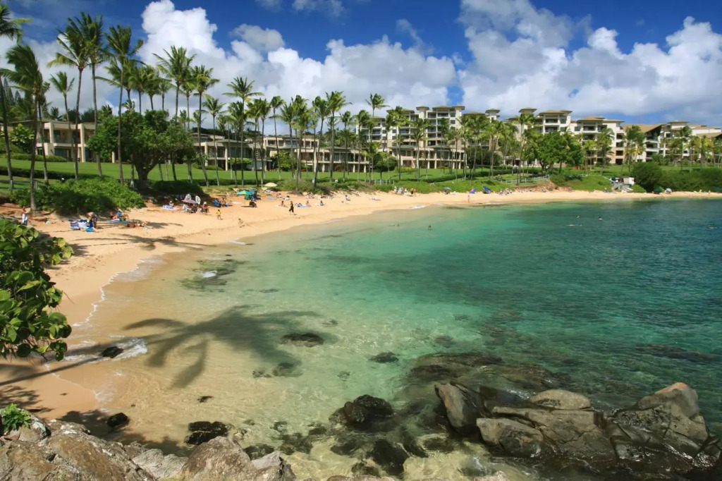 Beautiful 1 Bedroom Condo with Ocean Views | Oceanfront