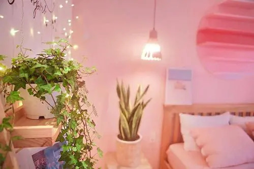 Summer Taste Homestay