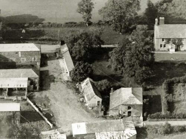 Dorset Farm