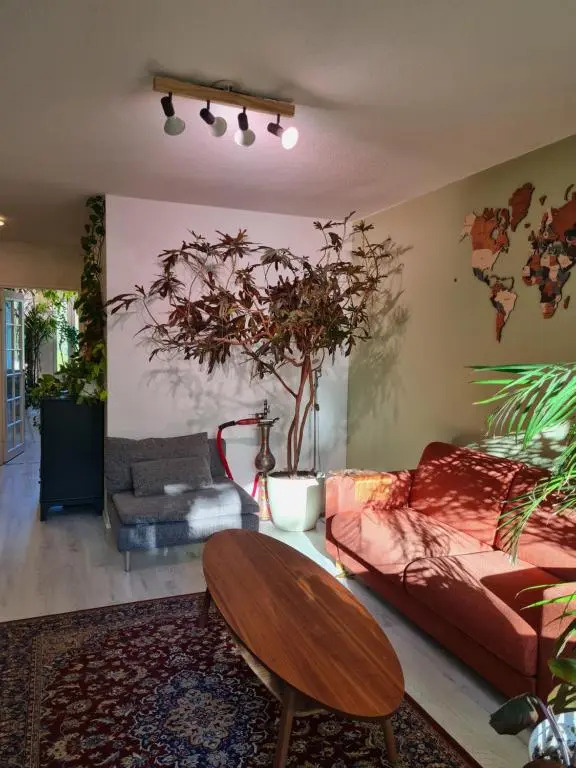Paradise apartment