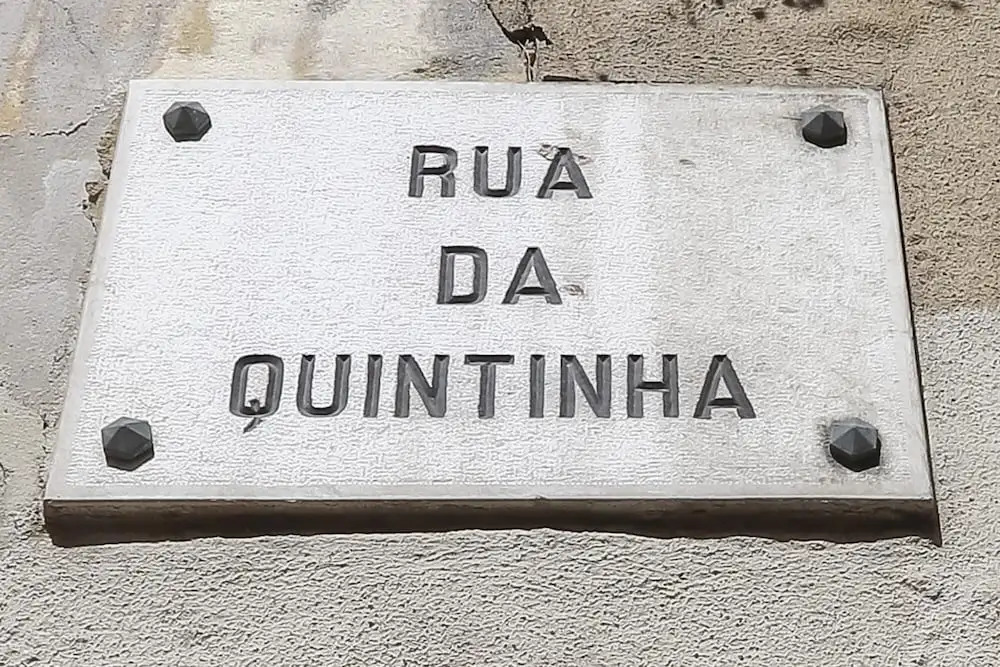 SAO Bento Classic by Homing