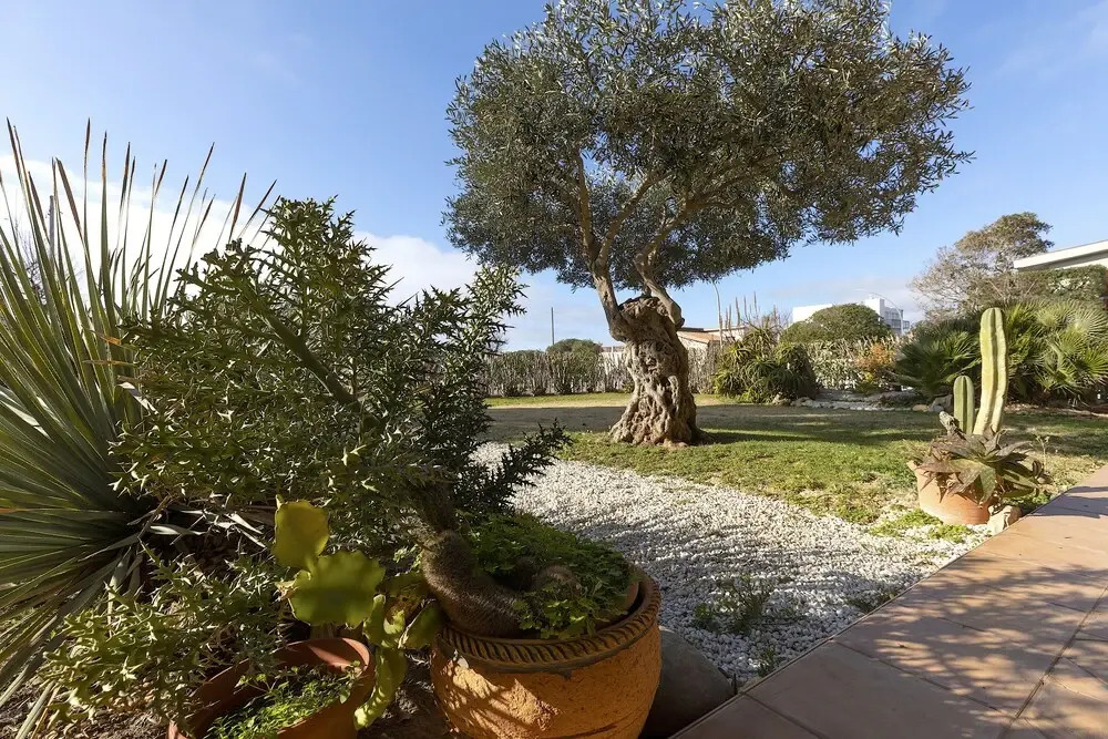 Villa Arrecifes Charming Bed And Breakfast