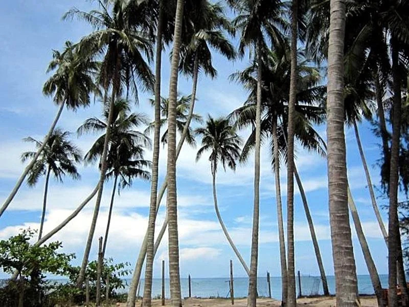 Hung Minh Guest House Mui Ne