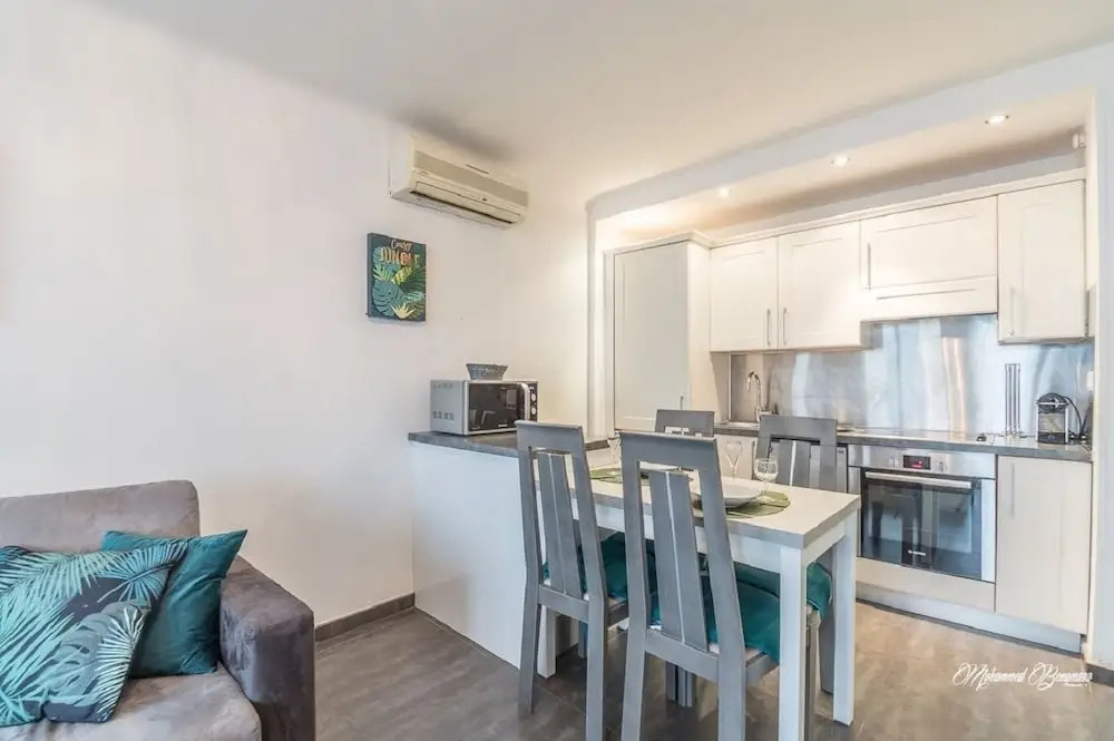 Cannes Vidal Apartment