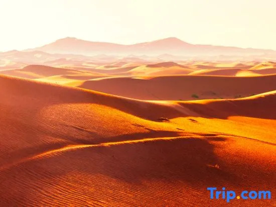 Zhongwei Shapo Tou Desert Wilderness Desert Stargazing Inn