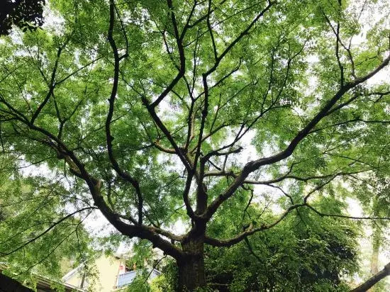 hangzhou YuanJuHouse