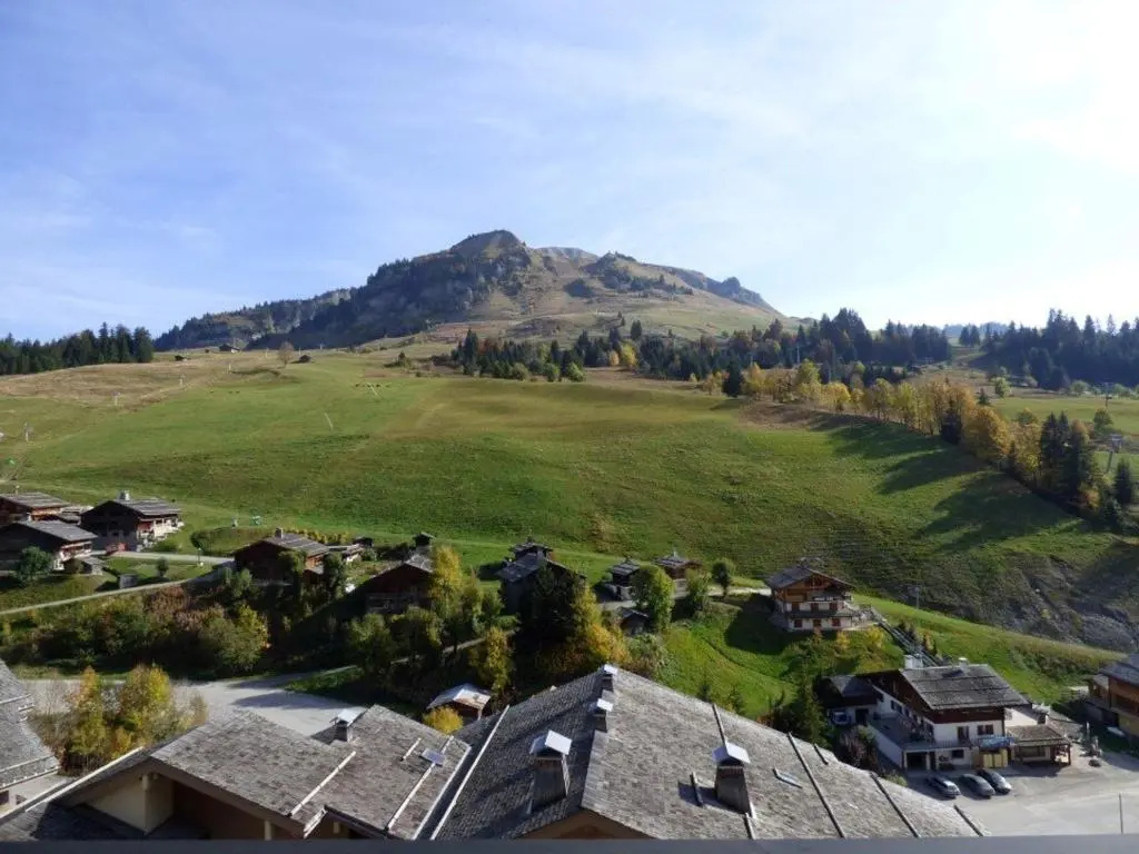 Appartement Le Grand-Bornand, 3 pièces, 6 personnes - FR-1-458-90