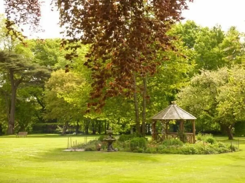 Beech View