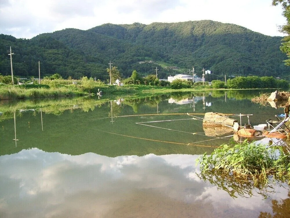 Caeun Pension
