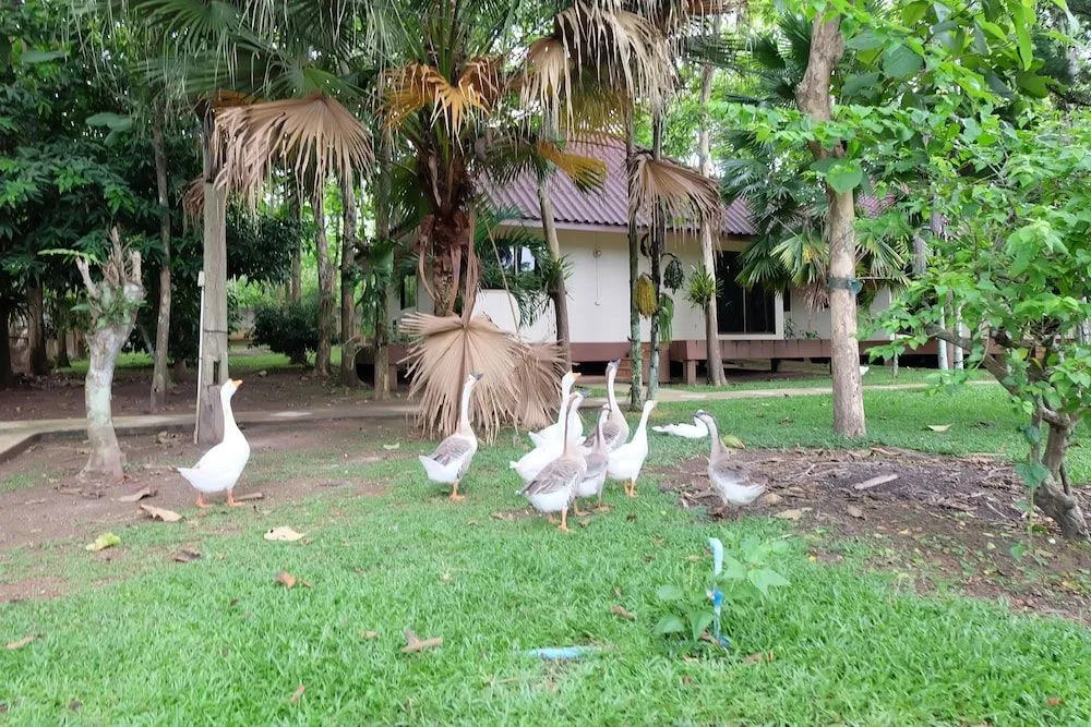 Suan Keaw Resort