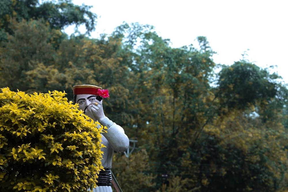 Nature Bloom Dharamshala Hotel and Resort