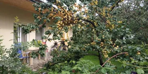 Evergreen Guesthouse