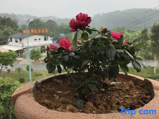Xianhegu Farmhouse