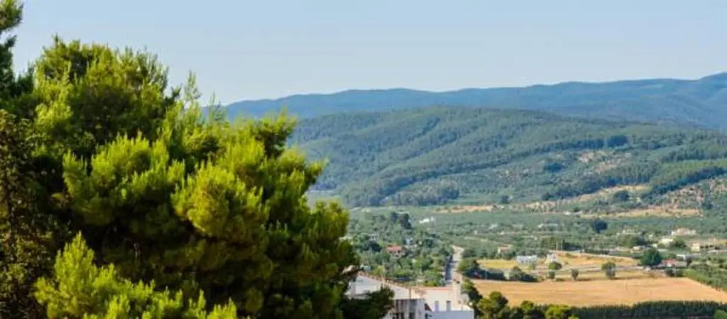 B&B Rose Villa