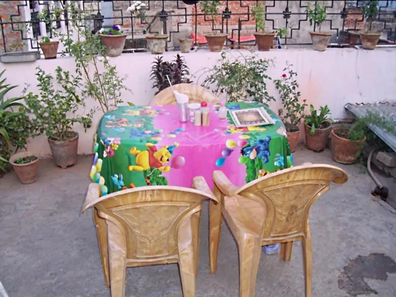 Elvis Guest House