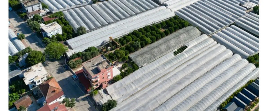 Benlikya Houses
