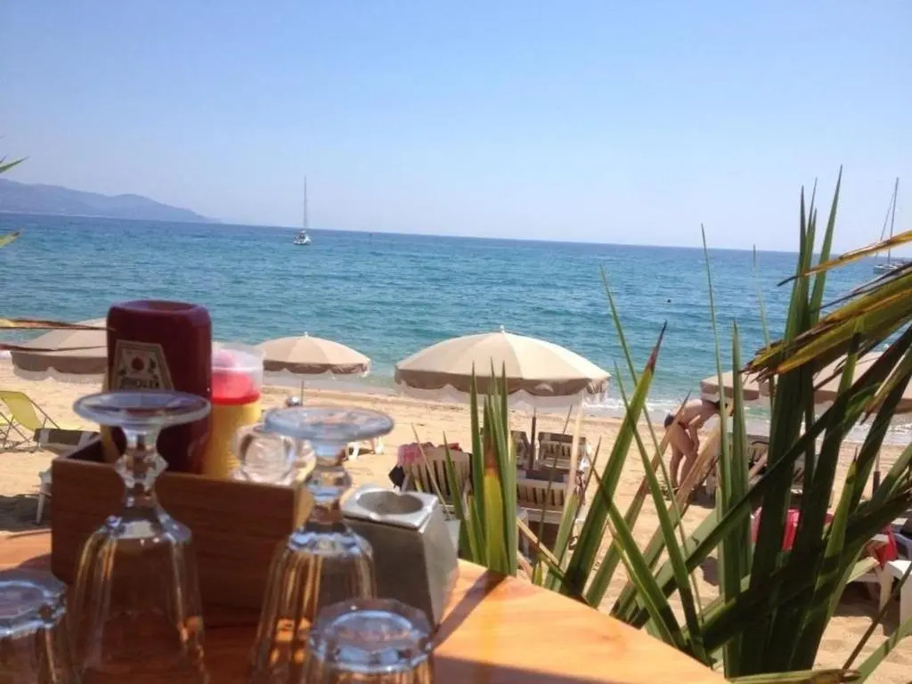 Appartement Le Lavandou, 3 pièces, 6 personnes - FR-1-251-65