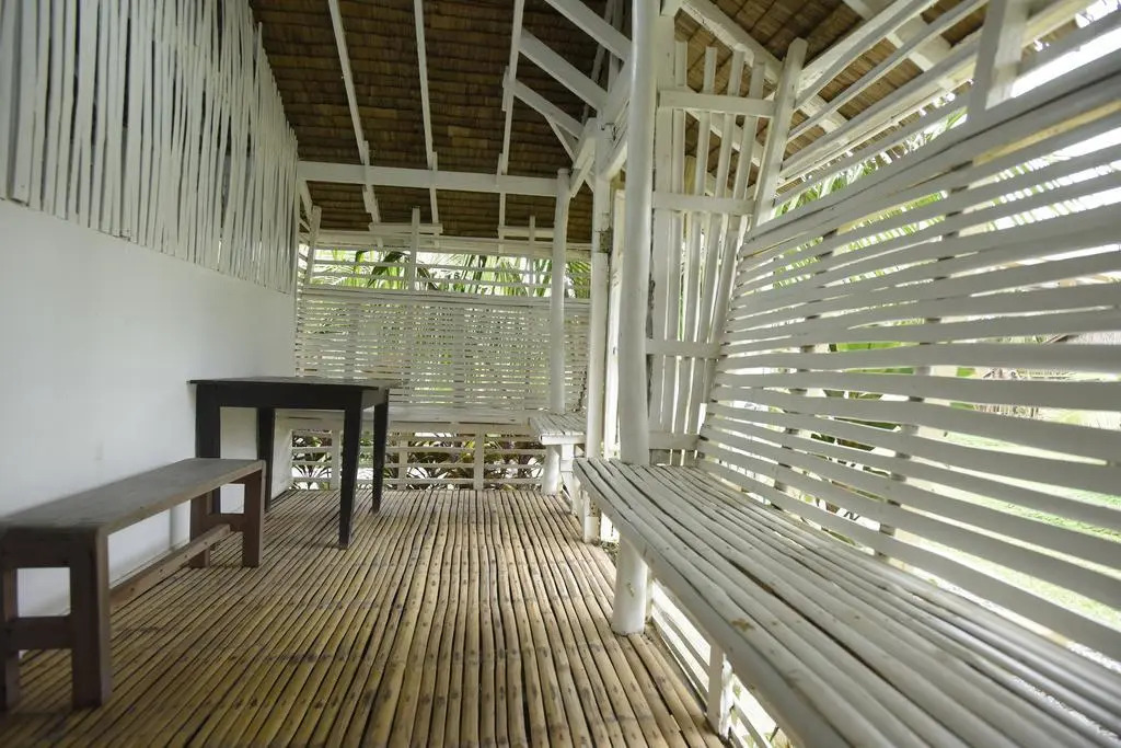 Nalu Surf Camp