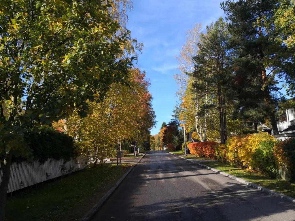 Airport Mint House Studio