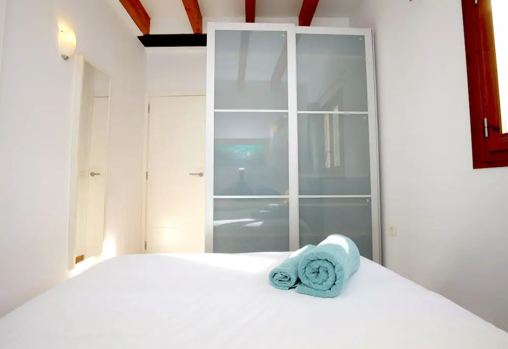 Sant Miquel Homes Penthouse