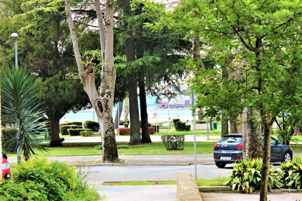 Marine Lux apartments