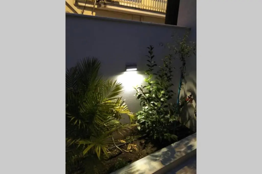 Arxontia 1