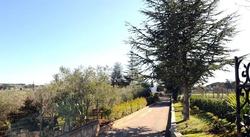Stella Della Valle DItria