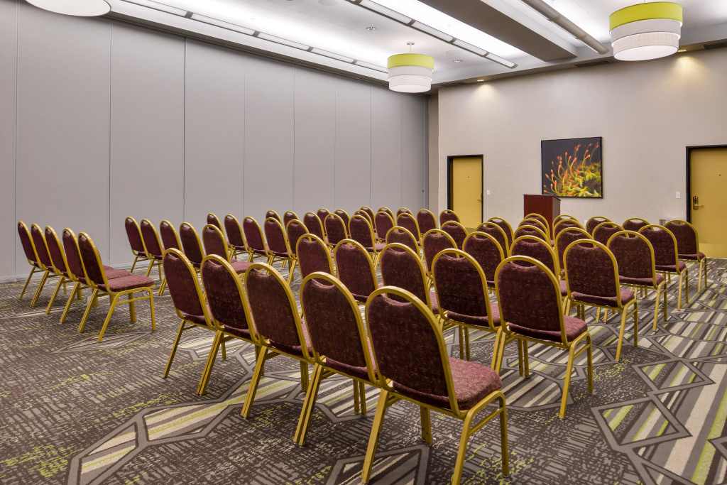 HOLIDAY INN EXPRESS & SUITES ELK GROVE CENTRAL - HWY 99 by IHG