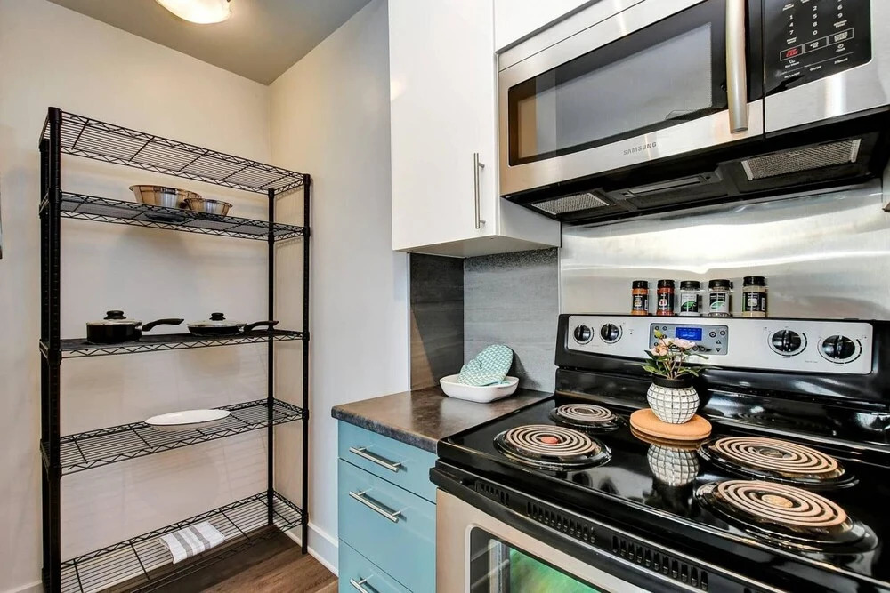 Newly Renovated - Spacious 1BR - Near Downtown