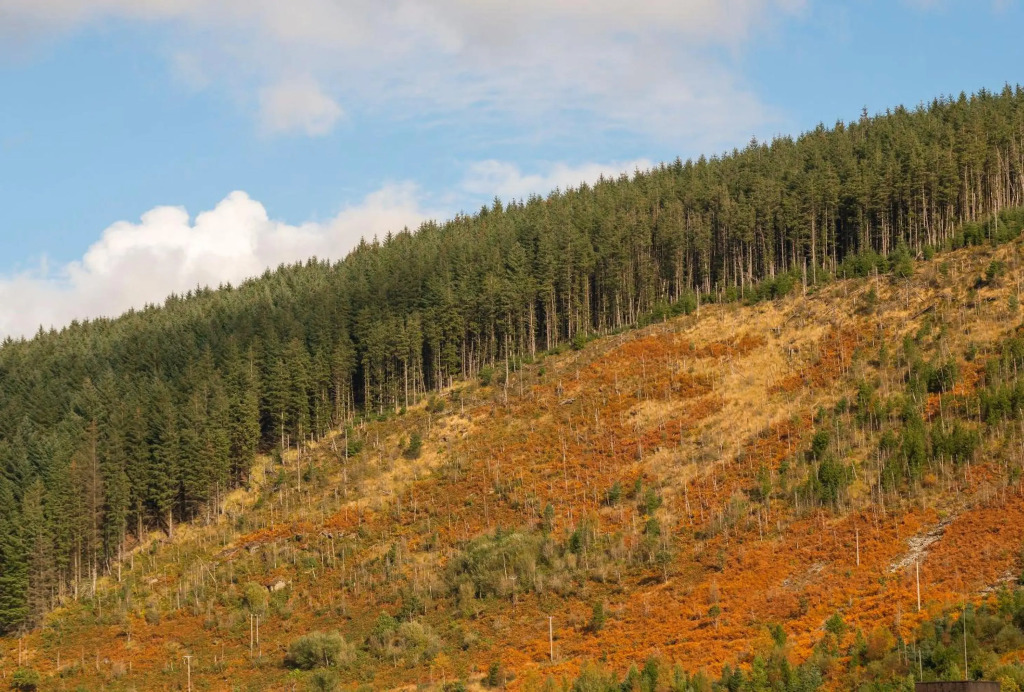 The SPACE Large House In Afan Forest Bike Park By STAE-Homes