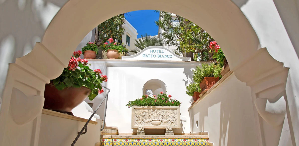 Отель Gatto Bianco Hotel & SPA