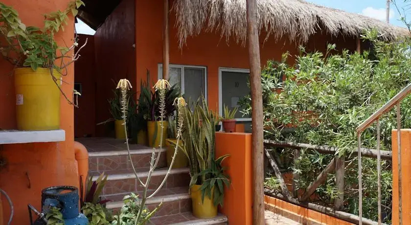 Estudios Playa del Carmen
