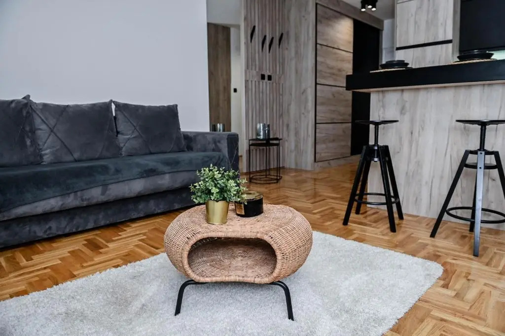 Cozy Apartment Plus