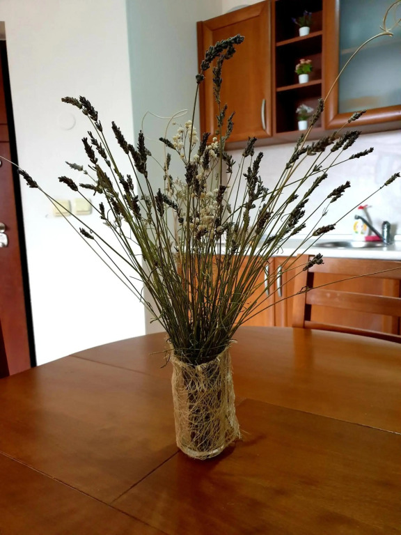 Edelweiss Inn Aparthotel, Apartment 32
