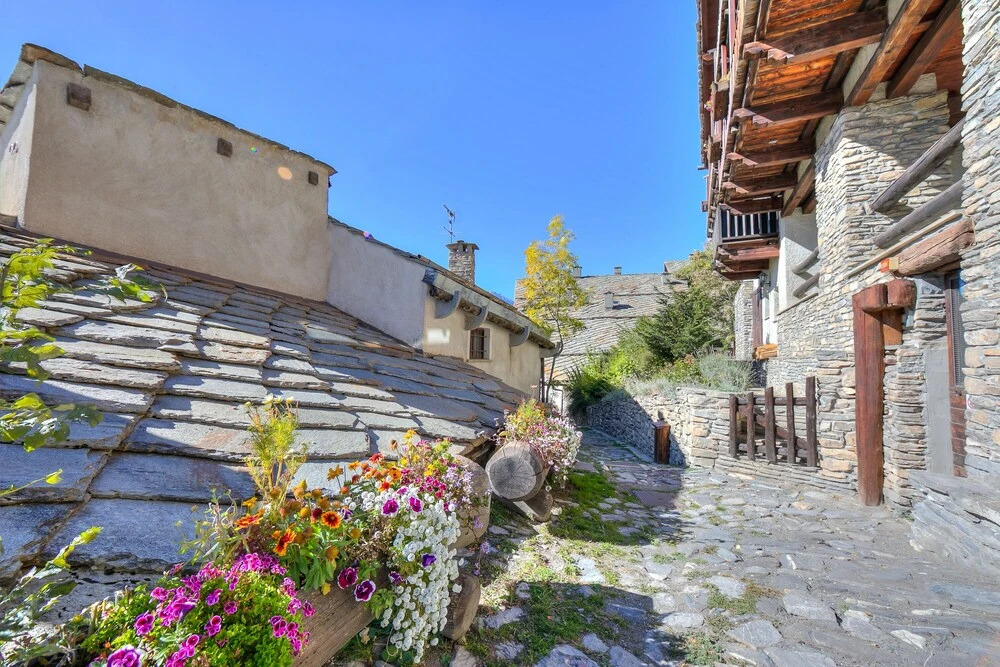 Appartamento Prugna Selvatica
