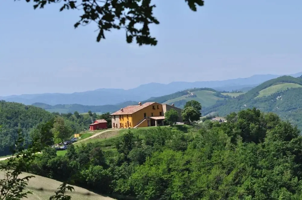 Girfalco - Country House - Bed&Breakfast