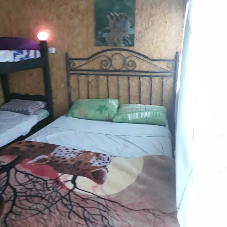 Candy House - Hostel