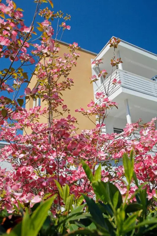 Hotel Jardis