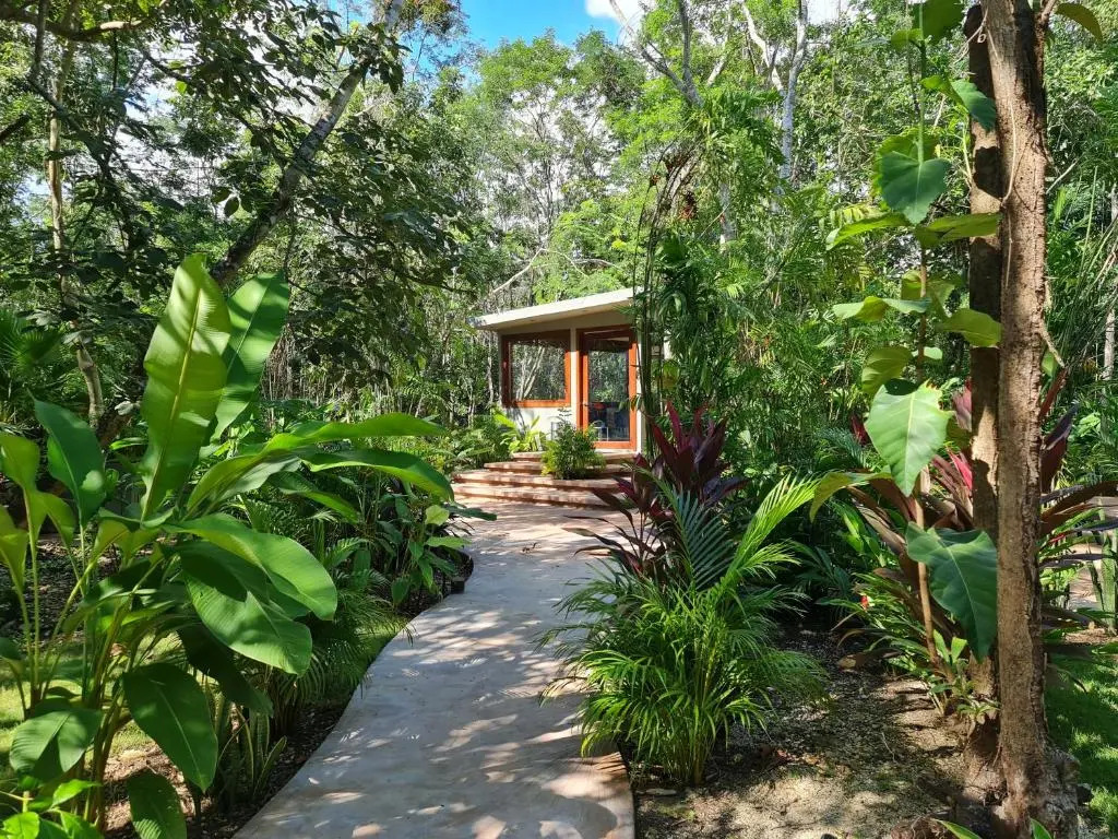 Secret Gardens Bacalar Suite 01 con alberca y bicicletas