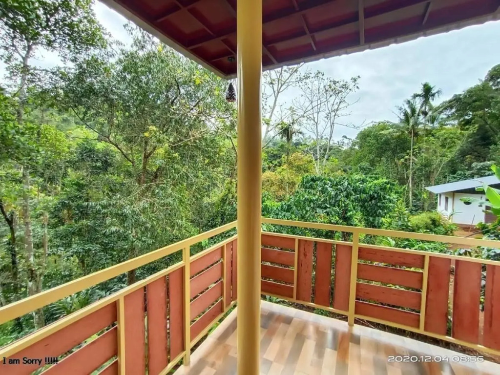 Chalona Jungle Eco Stay