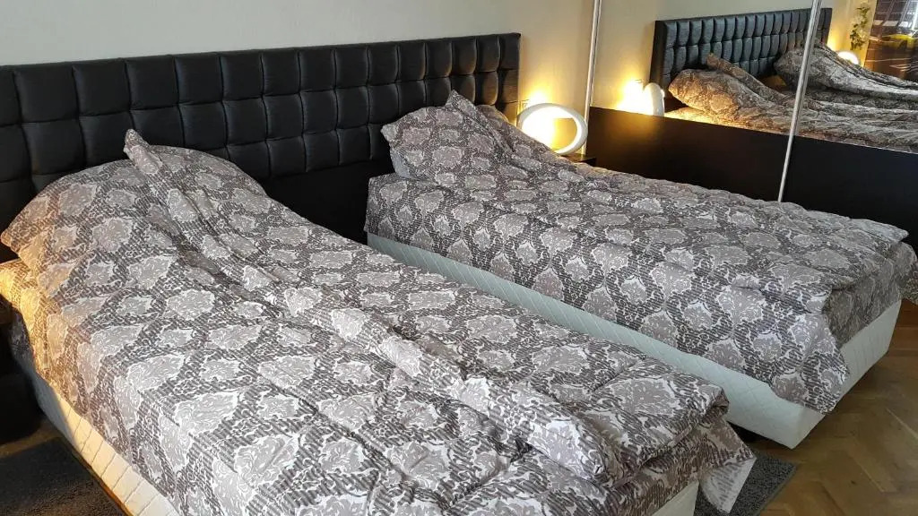 Apartment Plamen Delux
