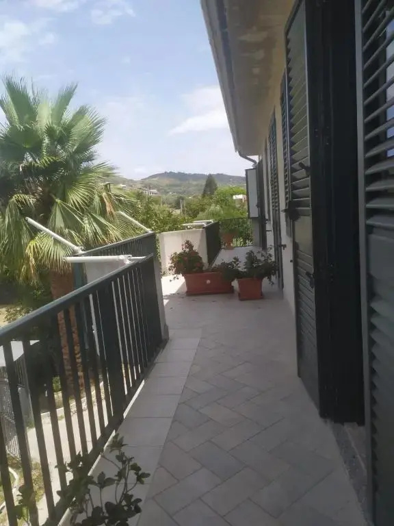 Nel7